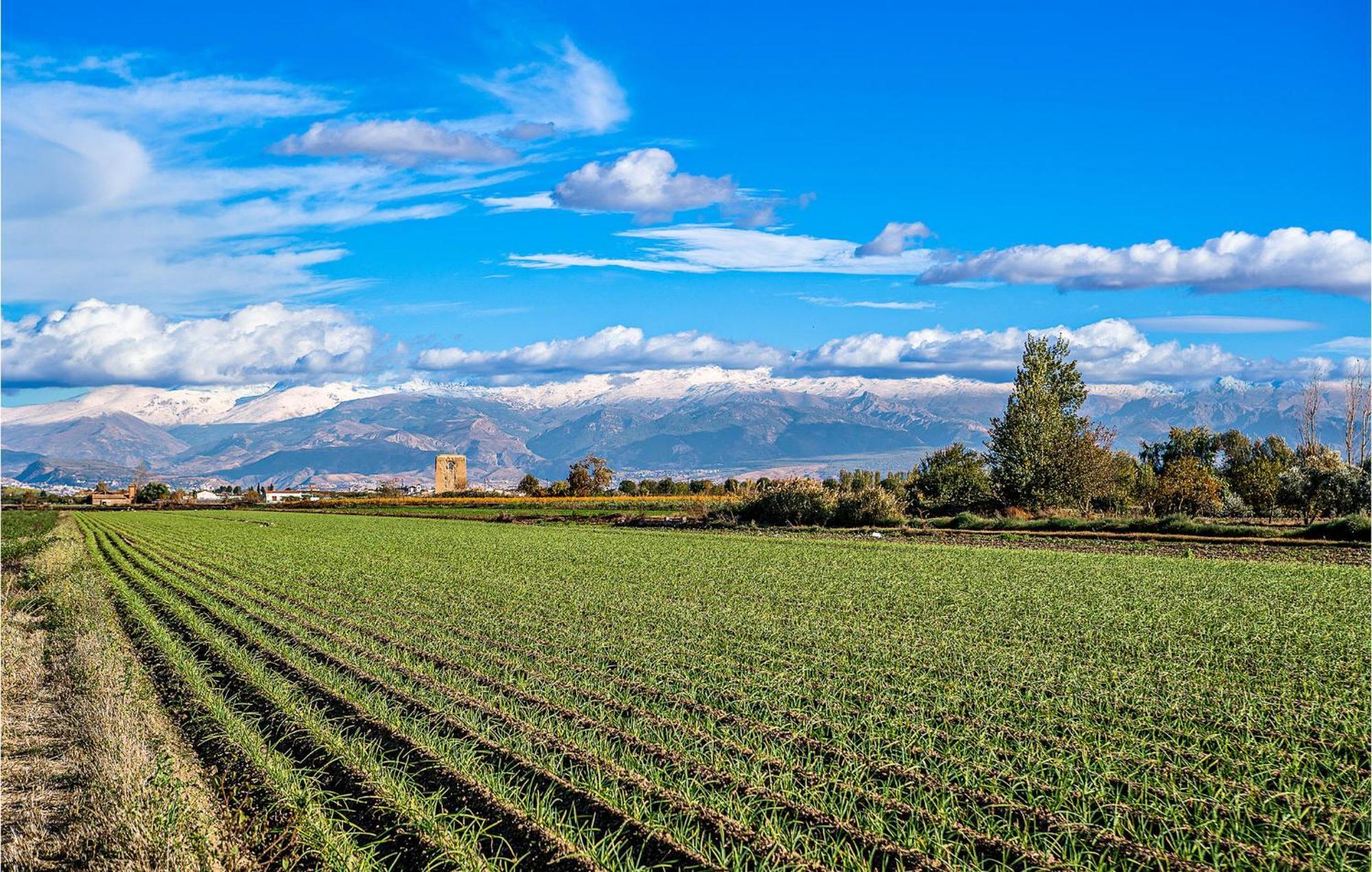 Stunning Air Conditioned House Cijuela Εξωτερικό φωτογραφία